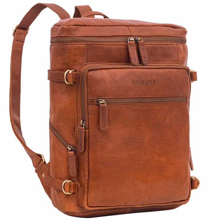 "Alvar"  Business Backpack Men Laptop Compartment